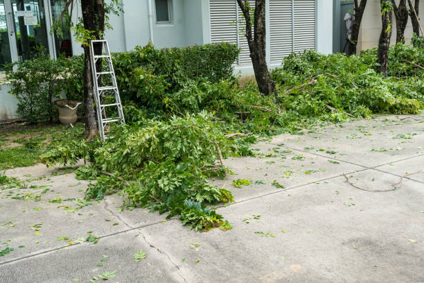 Best Tree Removal Service  in Riverdale, NJ