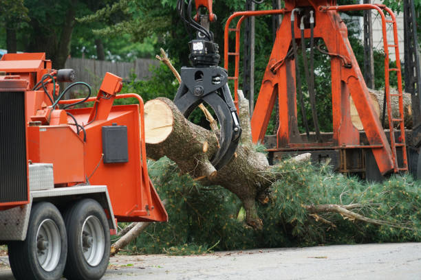 Best Weed Control  in Riverdale, NJ