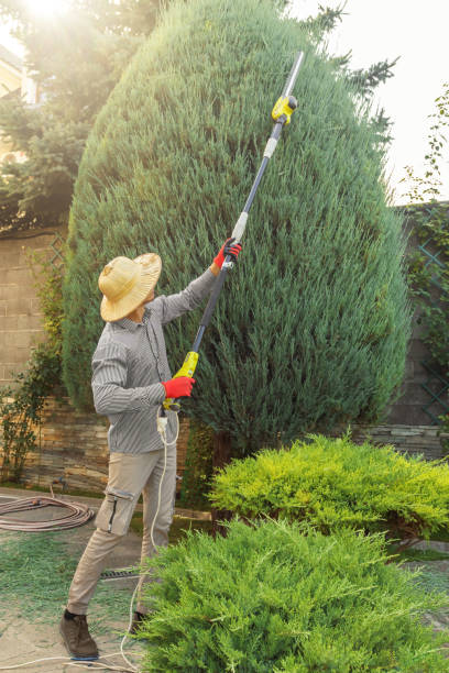 Reliable Riverdale, NJ Tree Services Solutions